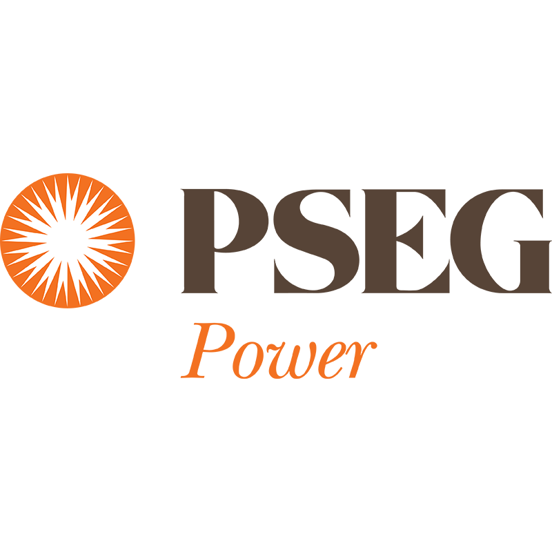 PSEG Power logo